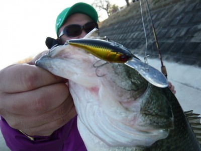 プロショップオオツカ バスフィッシング用品ネット通信販売 ブログ写真 2012/03/31