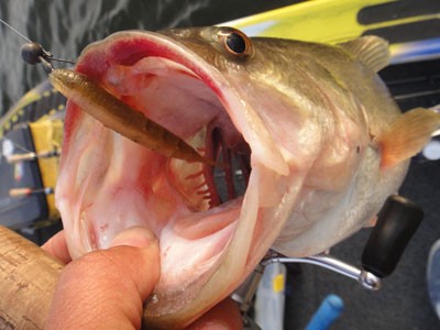 プロショップオオツカ バスフィッシング用品ネット通信販売 ブログ写真 2012/04/13