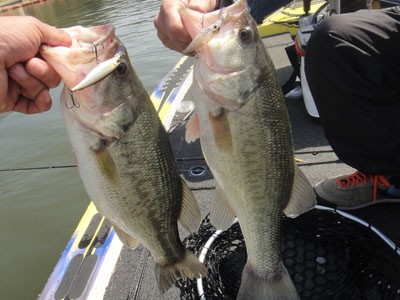 プロショップオオツカ バスフィッシング用品ネット通信販売 ブログ写真 2012/04/13