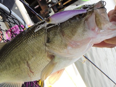 プロショップオオツカ バスフィッシング用品ネット通信販売 ブログ写真 2012/04/13