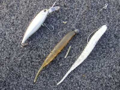 プロショップオオツカ バスフィッシング用品ネット通信販売 ブログ写真 2012/04/13