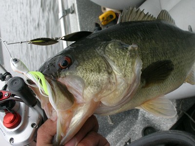 プロショップオオツカ バスフィッシング用品ネット通信販売 ブログ写真 2012/04/27