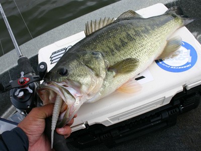 プロショップオオツカ バスフィッシング用品ネット通信販売 ブログ写真 2012/04/27