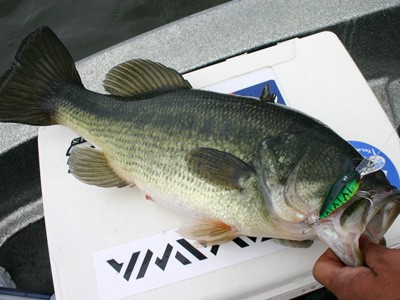 プロショップオオツカ バスフィッシング用品ネット通信販売 ブログ写真 2012/04/27