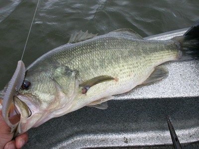 プロショップオオツカ バスフィッシング用品ネット通信販売 ブログ写真 2012/04/27