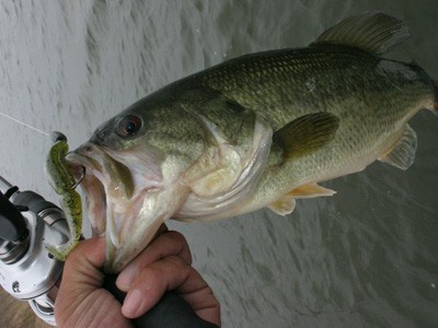 プロショップオオツカ バスフィッシング用品ネット通信販売 ブログ写真 2012/04/27