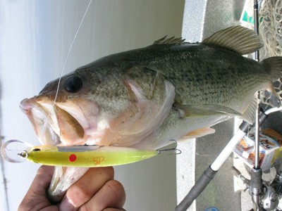 プロショップオオツカ バスフィッシング用品ネット通信販売 ブログ写真 2012/04/27