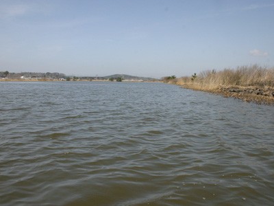 プロショップオオツカ バスフィッシング用品ネット通信販売 ブログ写真 2012/04/27