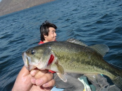 プロショップオオツカ バスフィッシング用品ネット通信販売 ブログ写真 2012/05/06