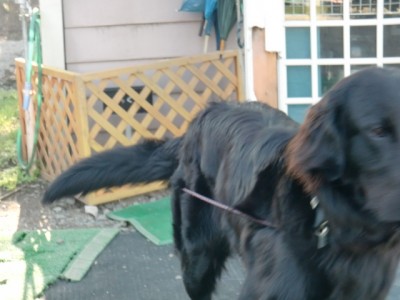 プロショップオオツカ バスフィッシング用品ネット通信販売 ブログ写真 2012/05/06