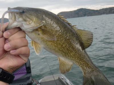 プロショップオオツカ バスフィッシング用品ネット通信販売 ブログ写真 2012/05/06