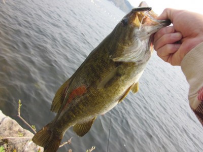 プロショップオオツカ バスフィッシング用品ネット通信販売 ブログ写真 2012/05/10