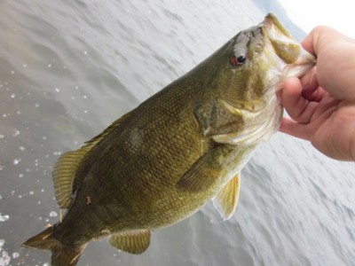 プロショップオオツカ バスフィッシング用品ネット通信販売 ブログ写真 2012/05/10