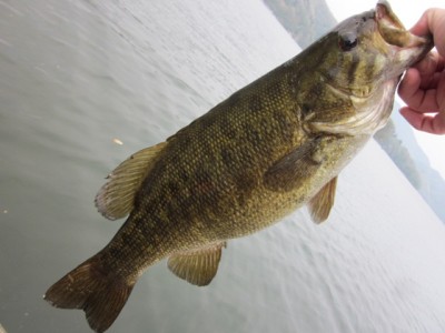 プロショップオオツカ バスフィッシング用品ネット通信販売 ブログ写真 2012/05/10