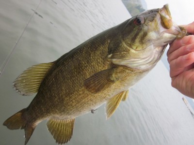 プロショップオオツカ バスフィッシング用品ネット通信販売 ブログ写真 2012/05/10