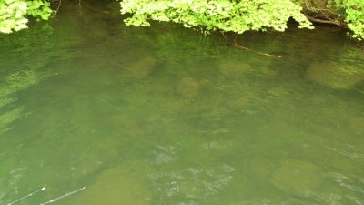 プロショップオオツカ バスフィッシング用品ネット通信販売 ブログ写真 2012/05/17