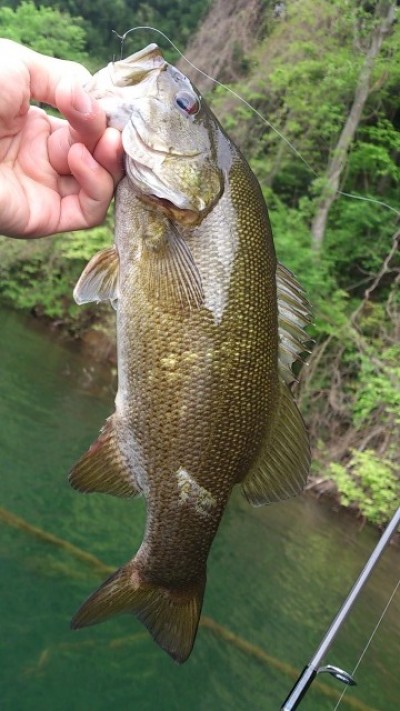 プロショップオオツカ バスフィッシング用品ネット通信販売 ブログ写真 2012/05/17