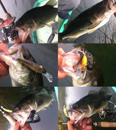 プロショップオオツカ バスフィッシング用品ネット通信販売 ブログ写真 2012/05/23