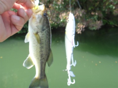 プロショップオオツカ バスフィッシング用品ネット通信販売 ブログ写真 2012/05/30