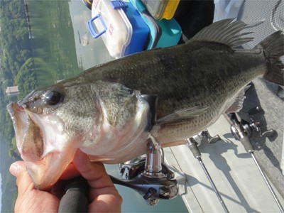 プロショップオオツカ バスフィッシング用品ネット通信販売 ブログ写真 2012/05/30