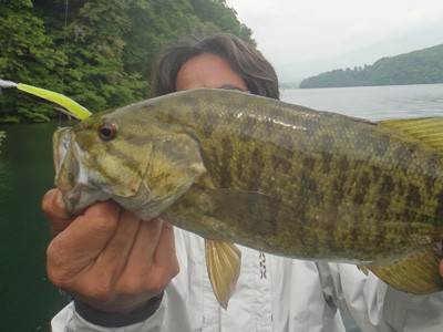 プロショップオオツカ バスフィッシング用品ネット通信販売 ブログ写真 2012/06/06