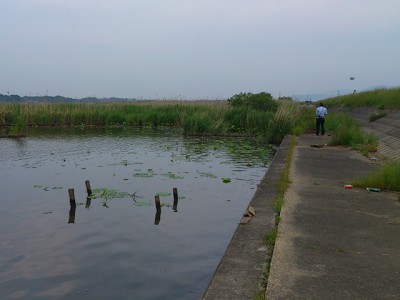 プロショップオオツカ バスフィッシング用品ネット通信販売 ブログ写真 2012/06/07