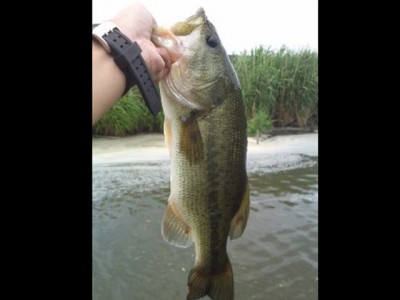 プロショップオオツカ バスフィッシング用品ネット通信販売 ブログ写真 2012/06/07