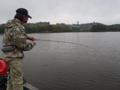 プロショップオオツカ バスフィッシング用品ネット通信販売 ブログ写真 2012/06/14