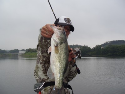 プロショップオオツカ バスフィッシング用品ネット通信販売 ブログ写真 2012/06/14