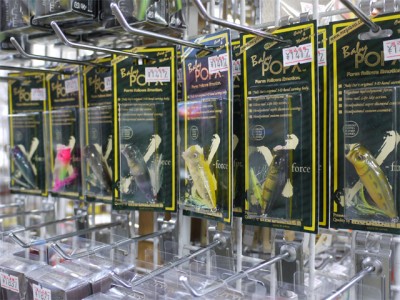 プロショップオオツカ バスフィッシング用品ネット通信販売 ブログ写真 2012/06/14