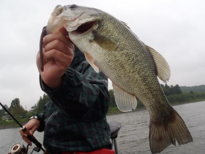 プロショップオオツカ バスフィッシング用品ネット通信販売 ブログ写真 2012/06/14