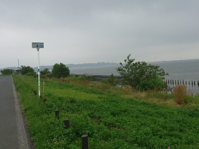 プロショップオオツカ バスフィッシング用品ネット通信販売 ブログ写真 2012/06/20