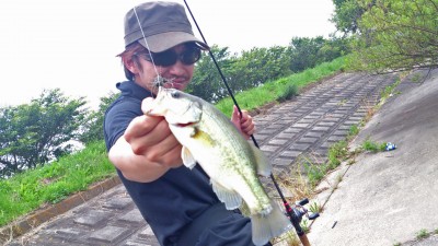 プロショップオオツカ バスフィッシング用品ネット通信販売 ブログ写真 2012/06/20