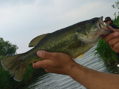 プロショップオオツカ バスフィッシング用品ネット通信販売 ブログ写真 2012/06/20