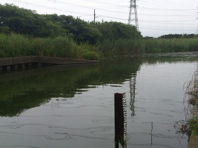 プロショップオオツカ バスフィッシング用品ネット通信販売 ブログ写真 2012/06/20