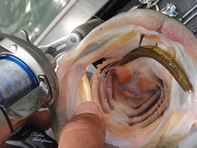 プロショップオオツカ バスフィッシング用品ネット通信販売 ブログ写真 2012/06/27