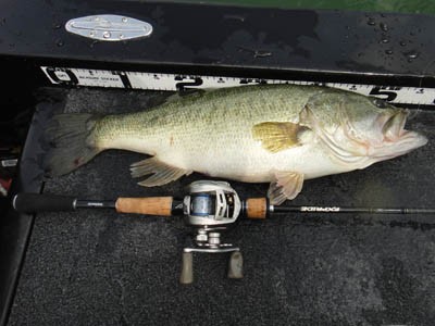 プロショップオオツカ バスフィッシング用品ネット通信販売 ブログ写真 2012/06/27