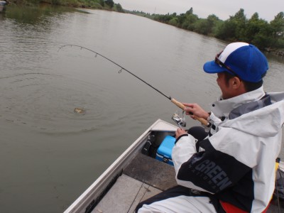 プロショップオオツカ バスフィッシング用品ネット通信販売 ブログ写真 2012/07/09