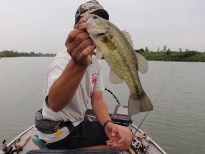 プロショップオオツカ バスフィッシング用品ネット通信販売 ブログ写真 2012/07/09