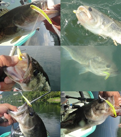 プロショップオオツカ バスフィッシング用品ネット通信販売 ブログ写真 2012/07/11