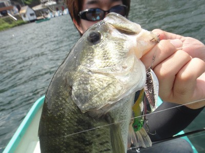 プロショップオオツカ バスフィッシング用品ネット通信販売 ブログ写真 2012/07/11