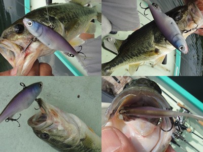 プロショップオオツカ バスフィッシング用品ネット通信販売 ブログ写真 2012/07/11