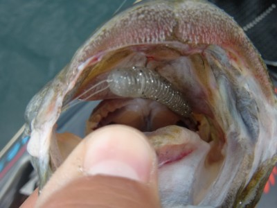 プロショップオオツカ バスフィッシング用品ネット通信販売 ブログ写真 2012/07/13