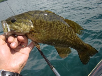 プロショップオオツカ バスフィッシング用品ネット通信販売 ブログ写真 2012/07/13