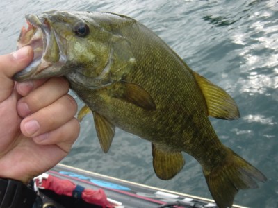 プロショップオオツカ バスフィッシング用品ネット通信販売 ブログ写真 2012/07/13