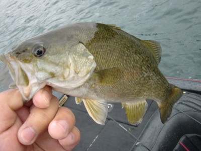 プロショップオオツカ バスフィッシング用品ネット通信販売 ブログ写真 2012/07/13