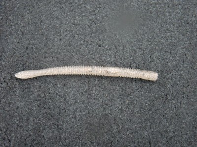 プロショップオオツカ バスフィッシング用品ネット通信販売 ブログ写真 2012/07/13