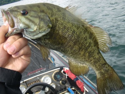 プロショップオオツカ バスフィッシング用品ネット通信販売 ブログ写真 2012/07/13