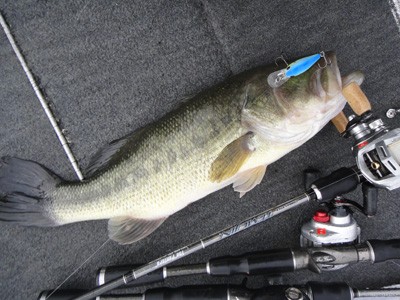 プロショップオオツカ バスフィッシング用品ネット通信販売 ブログ写真 2012/07/26