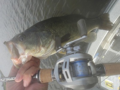 プロショップオオツカ バスフィッシング用品ネット通信販売 ブログ写真 2012/07/26